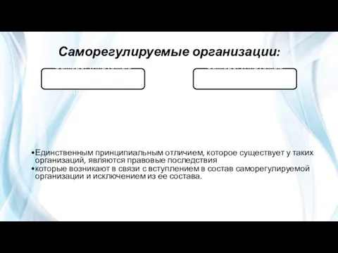 Саморегулируемые организации: Единственным принципиальным отличием, которое существует у таких организаций, являются правовые