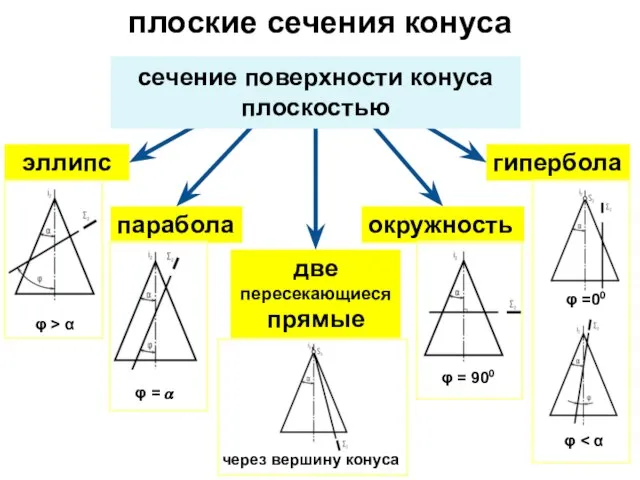 плоские сечения конуса окружность эллипс парабола гипербола сечение поверхности конуса плоскостью φ