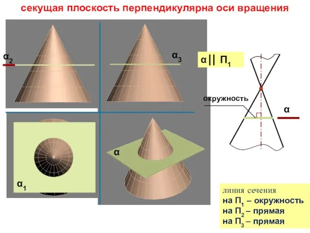 α2 α1 α α3 секущая плоскость перпендикулярна оси вращения линия сечения на