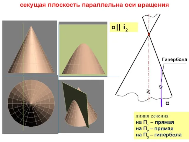 секущая плоскость параллельна оси вращения линия сечения на П1 – прямая на