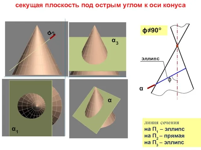 секущая плоскость под острым углом к оси конуса α2 α1 α α3