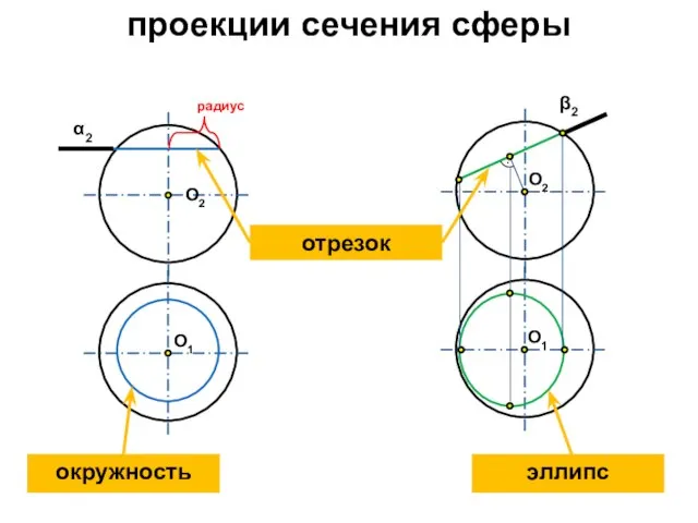 проекции сечения сферы О1 О1 радиус О2 α2 β2 О2 эллипс окружность отрезок