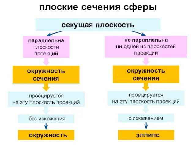 плоские сечения сферы параллельна плоскости проекций без искажения не параллельна ни одной