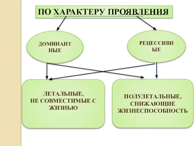 ПО ХАРАКТЕРУ ПРОЯВЛЕНИЯ ДОМИНАНТНЫЕ РЕЦЕССИВНЫЕ ЛЕТАЛЬНЫЕ, НЕ СОВМЕСТИМЫЕ С ЖИЗНЬЮ ПОЛУЛЕТАЛЬНЫЕ, СНИЖАЮЩИЕ ЖИЗНЕСПОСОБНОСТЬ