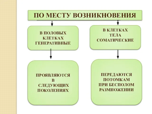 ПО МЕСТУ ВОЗНИКНОВЕНИЯ В ПОЛОВЫХ КЛЕТКАХ ГЕНЕРАТИВНЫЕ В КЛЕТКАХ ТЕЛА СОМАТИЧЕСКИЕ ПРОЯВЛЯЮТСЯ