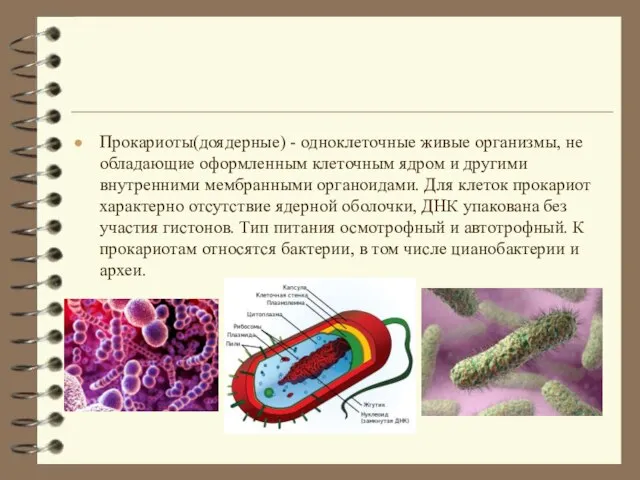 Прокариоты(доядерные) - одноклеточные живые организмы, не обладающие оформленным клеточным ядром и другими