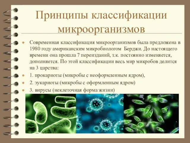 Принципы классификации микроорганизмов Современная классификация микроорганизмов была предложена в 1980 году американским