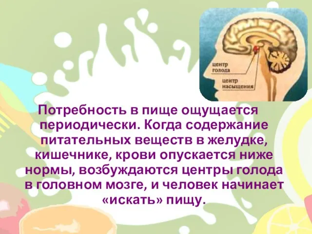 Потребность в пище ощущается периодически. Когда содержание питательных веществ в желудке, кишечнике,