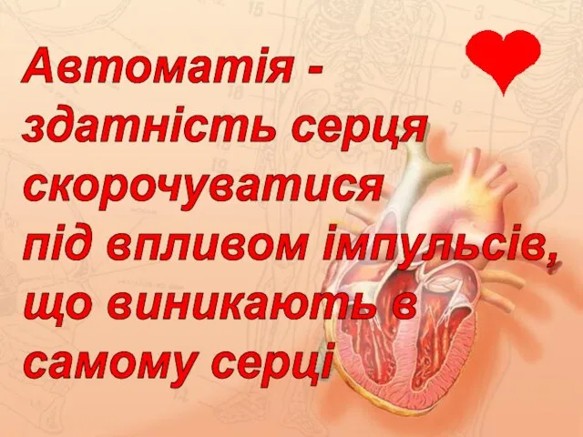 Автоматія - здатність серця скорочуватися під впливом імпульсів, що виникають в самому серці