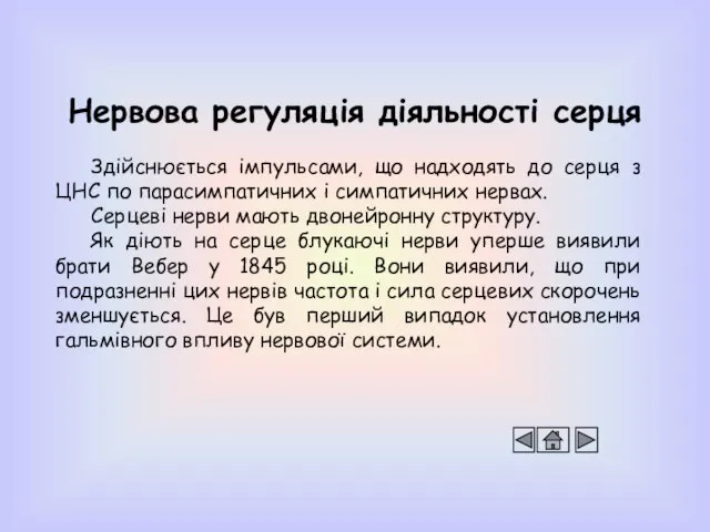 Нервова регуляція діяльності серця Здійснюється імпульсами, що надходять до серця з ЦНС