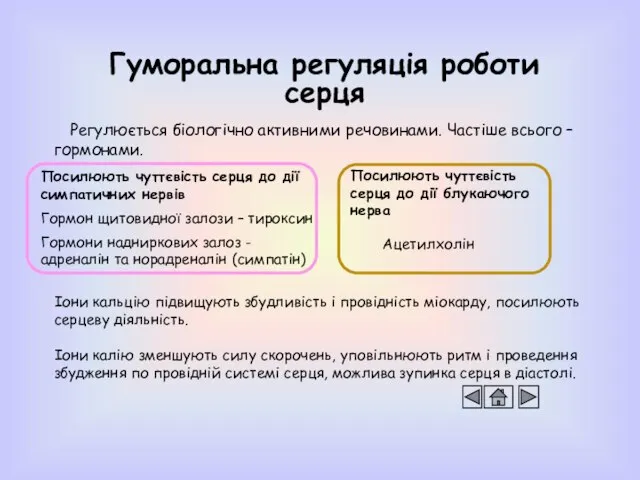 Гуморальна регуляція роботи серця Регулюється біологічно активними речовинами. Частіше всього – гормонами.