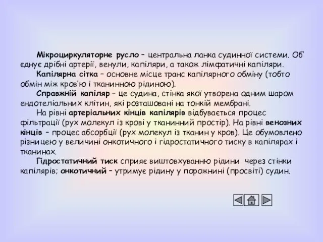 Мікроциркуляторне русло – центральна ланка судинної системи. Об’єднує дрібні артерії, венули, капіляри,