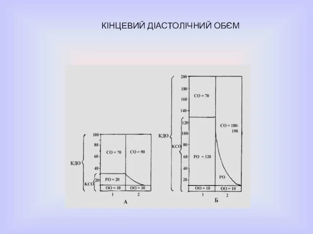 КІНЦЕВИЙ ДІАСТОЛІЧНИЙ ОБЄМ