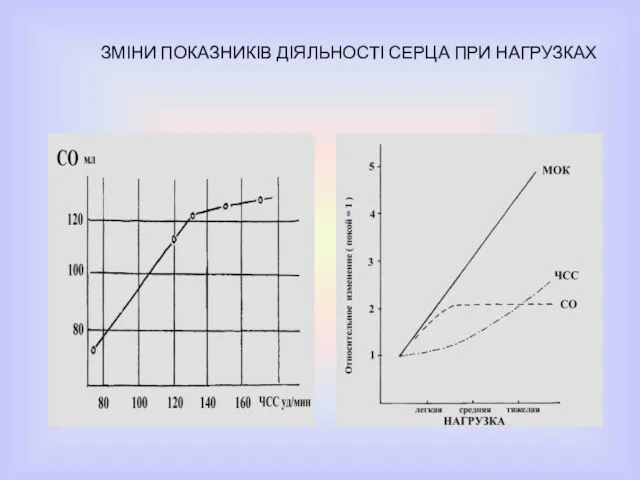 ЗМІНИ ПОКАЗНИКІВ ДІЯЛЬНОСТІ СЕРЦА ПРИ НАГРУЗКАХ