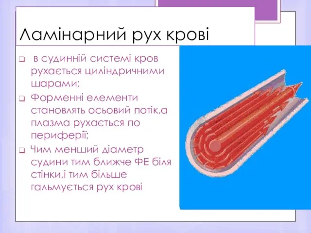 Ламінарний рух крові в судинній системі кров рухається циліндричними шарами; Форменні елементи