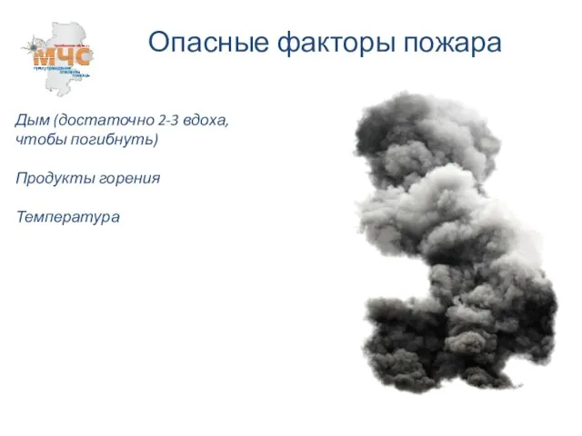 Опасные факторы пожара Дым (достаточно 2-3 вдоха, чтобы погибнуть) Продукты горения Температура