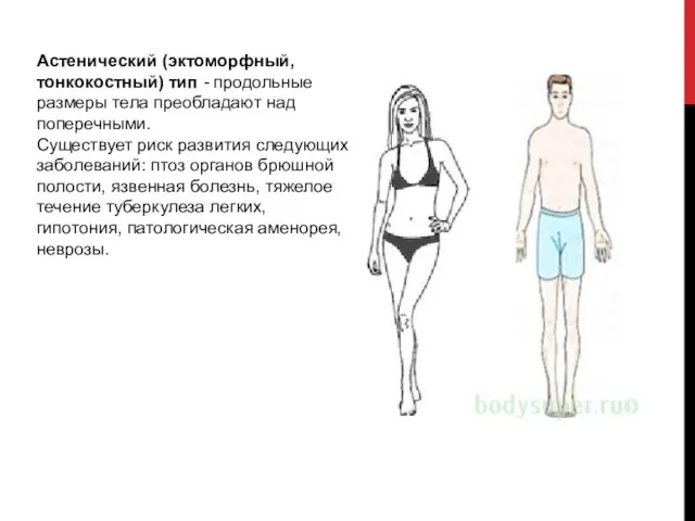 Астенический (эктоморфный, тонкокостный) тип - продольные размеры тела преобладают над поперечными. Существует