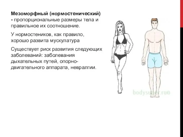 Мезоморфный (нормостенический) - пропорциональные размеры тела и правильное их соотношение. У нормостеников,