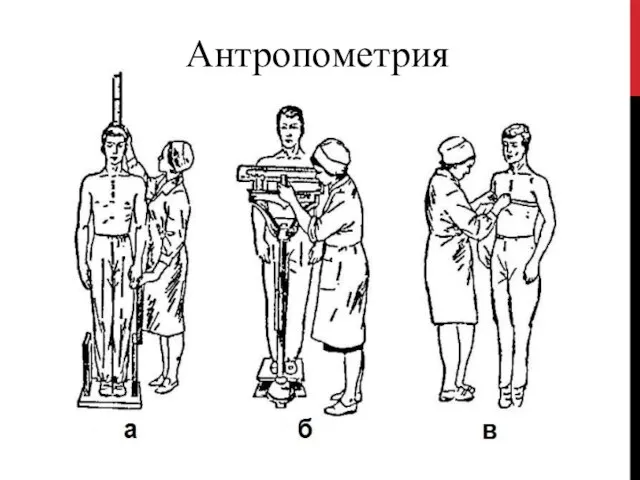 Антропометрия