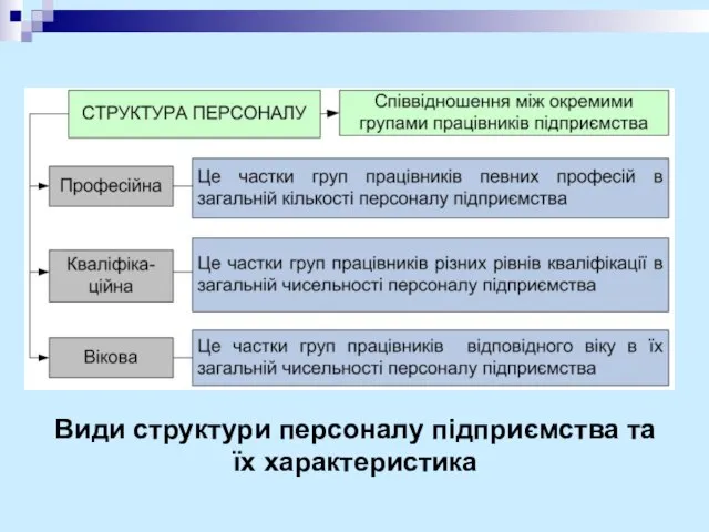 Види структури персоналу підприємства та їх характеристика