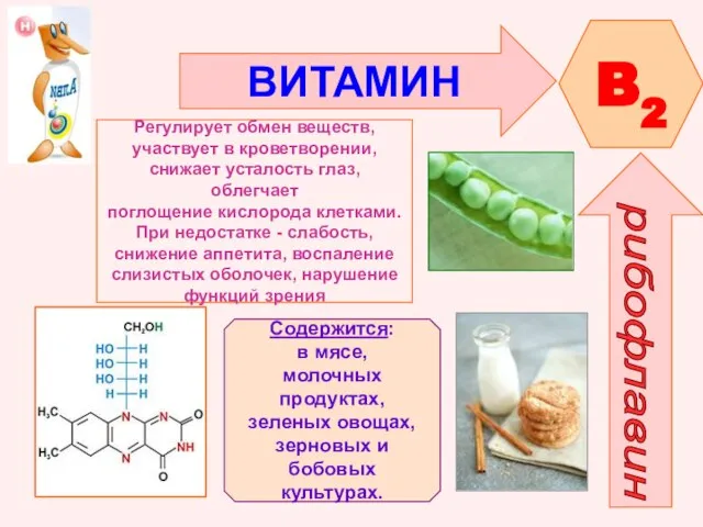 ВИТАМИН B2 рибофлавин Регулирует обмен веществ, участвует в кроветворении, снижает усталость глаз,