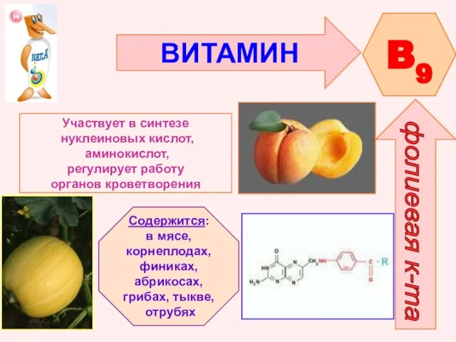 ВИТАМИН B9 фолиевая к-та Участвует в синтезе нуклеиновых кислот, аминокислот, регулирует работу