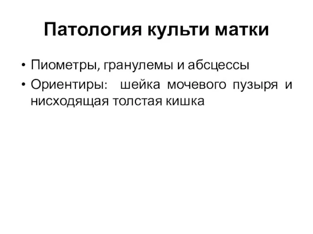 Патология культи матки Пиометры, гранулемы и абсцессы Ориентиры: шейка мочевого пузыря и нисходящая толстая кишка