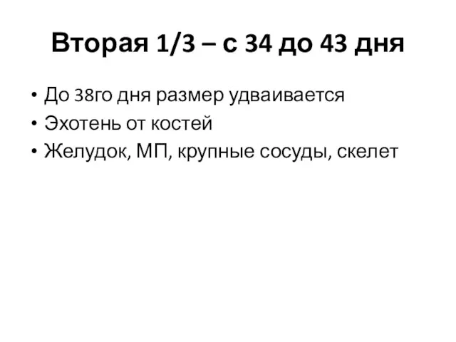 Вторая 1/3 – с 34 до 43 дня До 38го дня размер