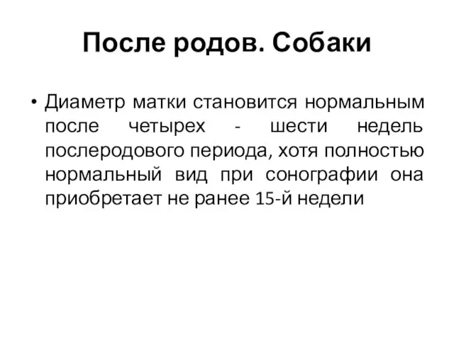 После родов. Собаки Диаметр матки становится нормальным после четырех - шести недель