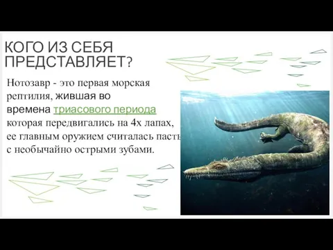 КОГО ИЗ СЕБЯ ПРЕДСТАВЛЯЕТ? Нотозавр - это первая морская рептилия, жившая во