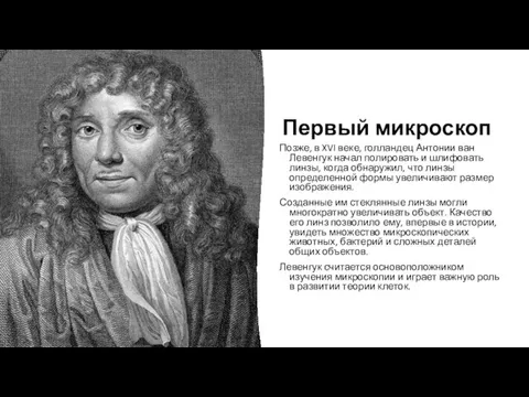 Первый микроскоп Позже, в XVI веке, голландец Антонии ван Левенгук начал полировать