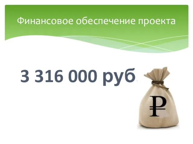 3 316 000 руб. Финансовое обеспечение проекта