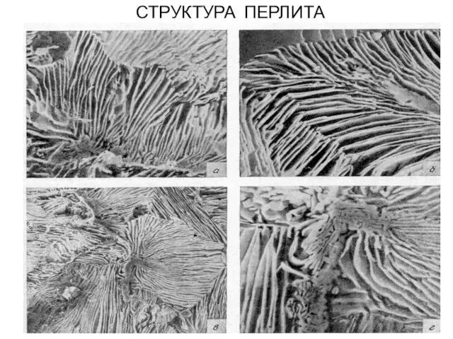 СТРУКТУРА ПЕРЛИТА