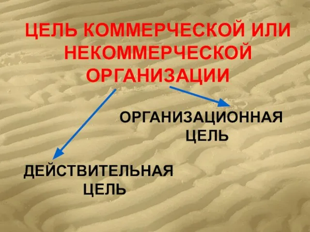 ЦЕЛЬ КОММЕРЧЕСКОЙ ИЛИ НЕКОММЕРЧЕСКОЙ ОРГАНИЗАЦИИ ДЕЙСТВИТЕЛЬНАЯ ЦЕЛЬ ОРГАНИЗАЦИОННАЯ ЦЕЛЬ