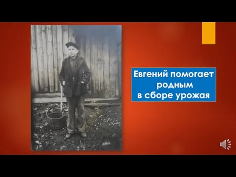 Евгений помогает родным в сборе урожая