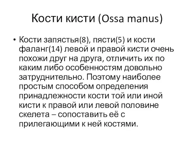 Кости кисти (Ossa manus) Кости запястья(8), пясти(5) и кости фаланг(14) левой и