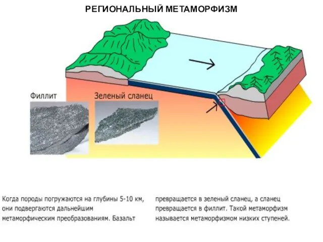 МЕТАОРФИЧЕСКИЕ ПОРОДЫ РЕГИОНАЛЬНЫЙ МЕТАМОРФИЗМ