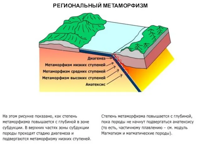 МЕТАОРФИЧЕСКИЕ ПОРОДЫ РЕГИОНАЛЬНЫЙ МЕТАМОРФИЗМ