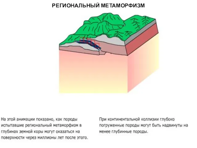 МЕТАОРФИЧЕСКИЕ ПОРОДЫ РЕГИОНАЛЬНЫЙ МЕТАМОРФИЗМ