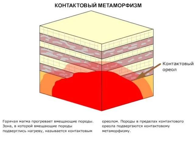 МЕТАОРФИЧЕСКИЕ ПОРОДЫ КОНТАКТОВЫЙ МЕТАМОРФИЗМ