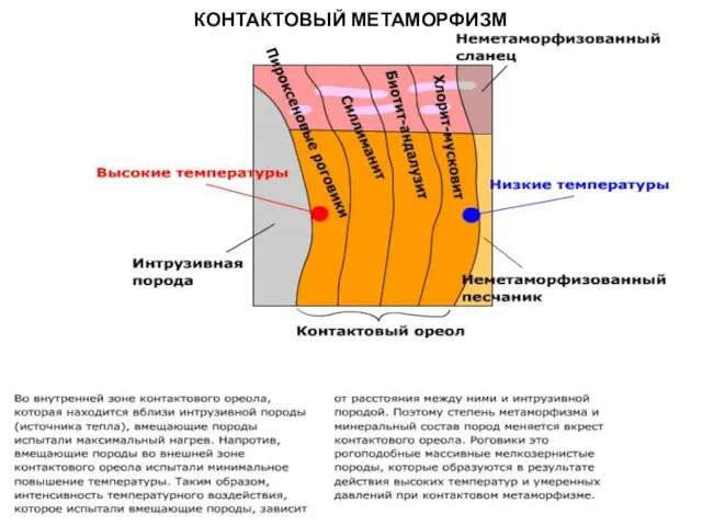 МЕТАОРФИЧЕСКИЕ ПОРОДЫ КОНТАКТОВЫЙ МЕТАМОРФИЗМ