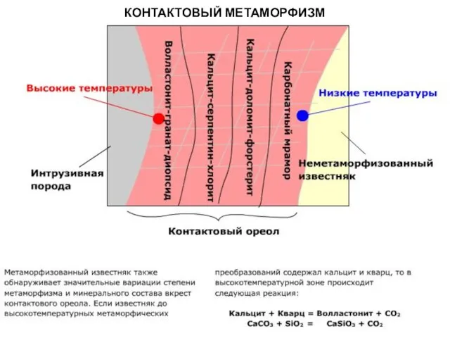 МЕТАОРФИЧЕСКИЕ ПОРОДЫ КОНТАКТОВЫЙ МЕТАМОРФИЗМ