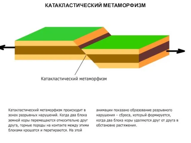 МЕТАОРФИЧЕСКИЕ ПОРОДЫ КАТАКЛАСТИЧЕСКИЙ МЕТАМОРФИЗМ