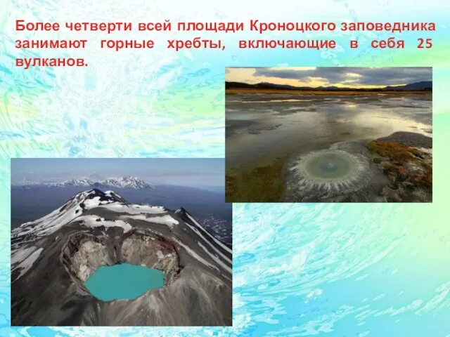 Более четверти всей площади Кроноцкого заповедника занимают горные хребты, включающие в себя 25 вулканов.