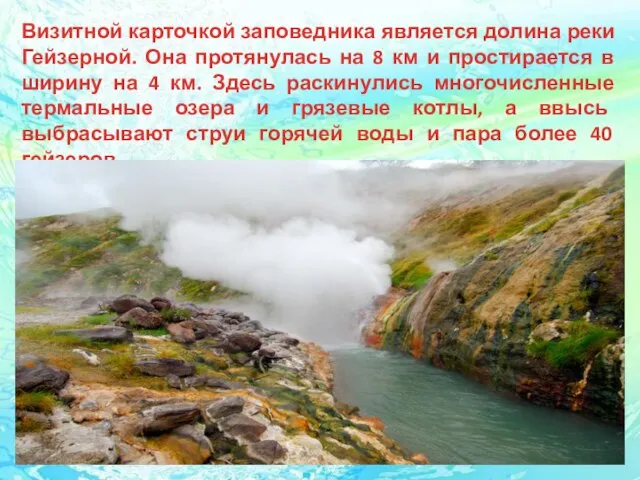 Визитной карточкой заповедника является долина реки Гейзерной. Она протянулась на 8 км