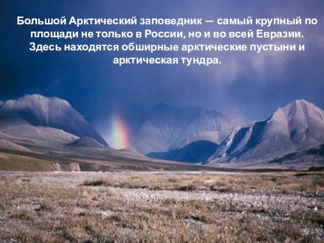 Большой Арктический заповедник — самый крупный по площади не только в России,