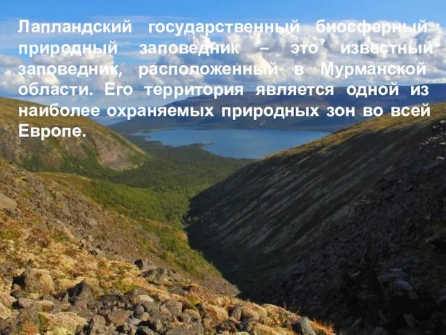 Лапландский государственный биосферный природный заповедник – это известный заповедник, расположенный в Мурманской