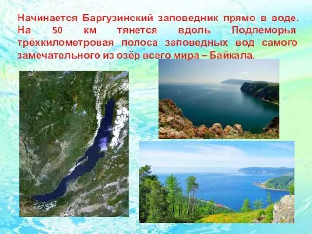 Начинается Баргузинский заповедник прямо в воде. На 50 км тянется вдоль Подлеморья