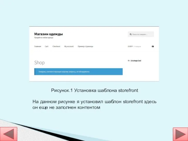 Рисунок.1 Установка шаблона storefront На данном рисунке я установил шаблон storefront здесь