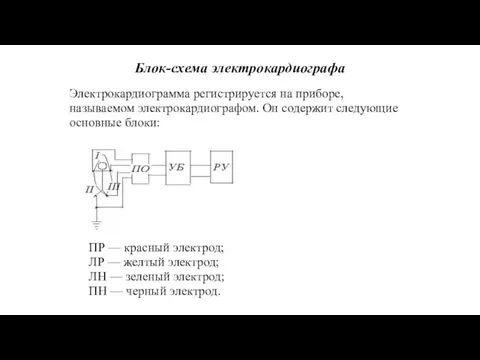 Блок-схема электрокардиографа Электрокардиограмма регистрируется на приборе, называемом электрокардиографом. Он содержит следующие основные